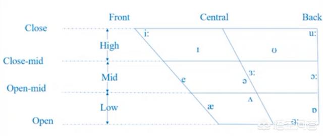 school的音标，音标中长短音单词怎么区别？