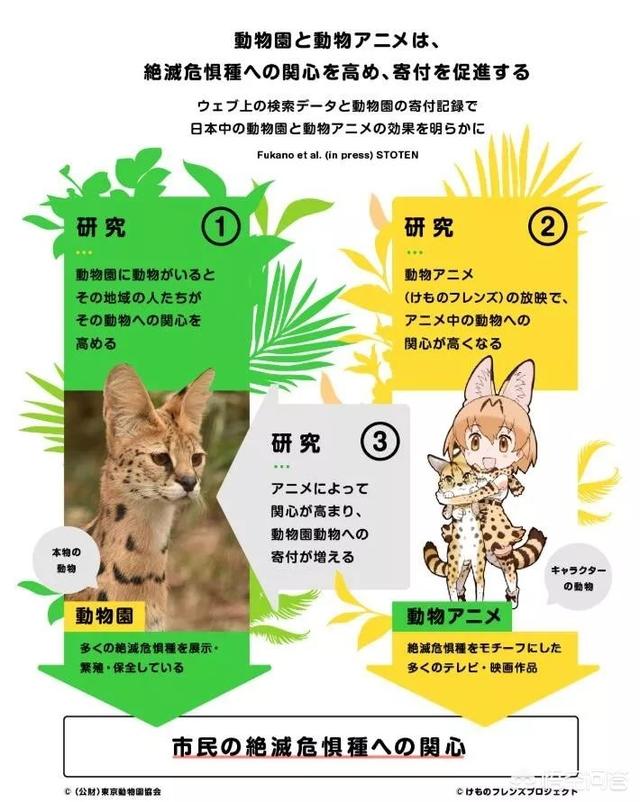 兽耳动物园薮猫本子:可以推荐几部科普番吗，谢谢？