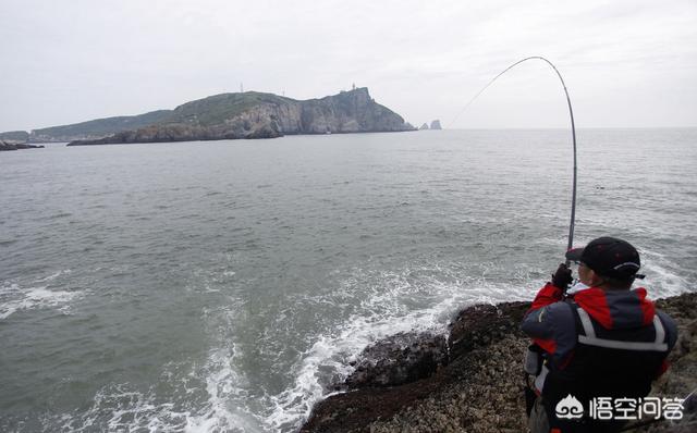 cmf海水鱼论坛:海钓时如何打窝？用什么打窝比较好？