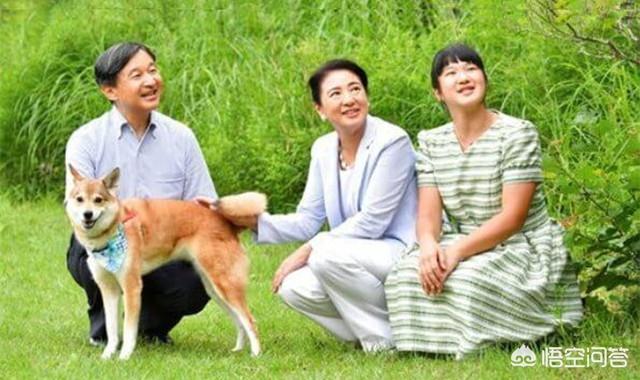 日本爱子公主暴瘦:日本的天皇制度为何能延续至今