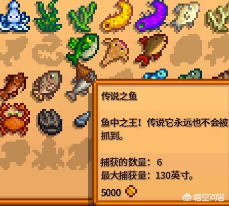 星露谷物语的鱼王在哪里分布呢？对于新手来说该怎么钓呢？