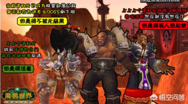 魔兽电影演员表:魔兽世界的剧情在哪里看完整的？
