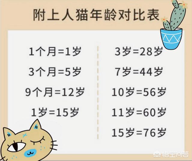 头条问答 猫咪变老有哪些迹象 猫主子的小奴的回答 0赞