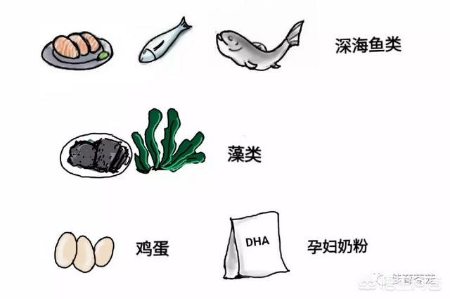 超乳改造乳怀孕网站:女人怀孕期间吃DHN真的有作用吗？
