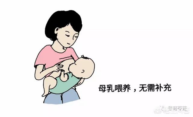 超乳改造乳怀孕网站:女人怀孕期间吃DHN真的有作用吗？