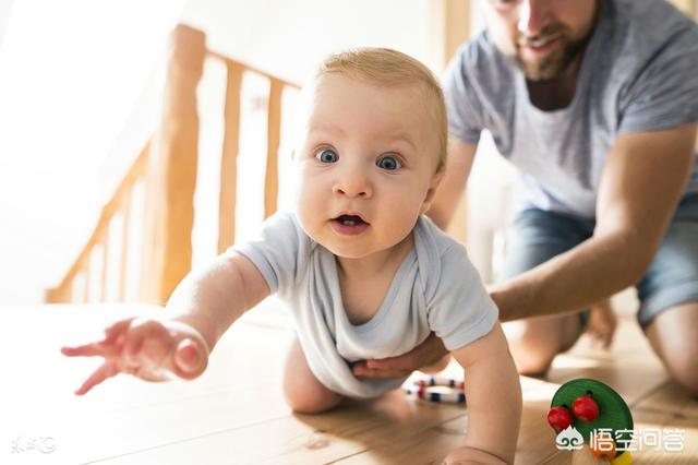 哈士奇模仿婴儿爬行视频:宝宝过早学会爬行是一件好事吗？