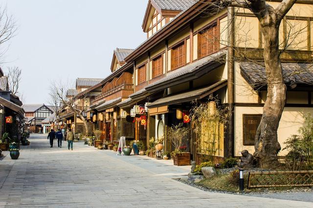 武强发现震旦鸦雀:盐城有哪些值得去的旅游景点