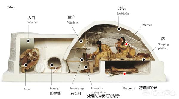 爱斯基摩人的冰屋:爱斯基摩人的生活是什么样的？他们住在冰做的房子里吗？ 爱斯基摩人的冰屋视频