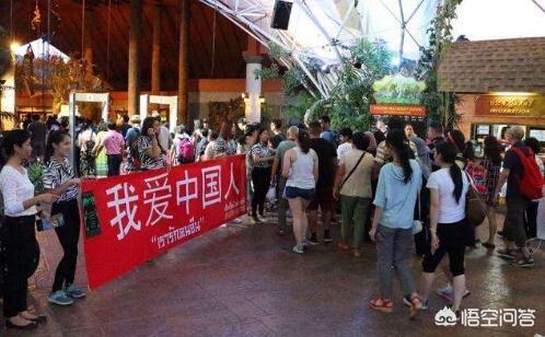 张文宏谈十一出游:为什么疫情未结束却开放省际游？