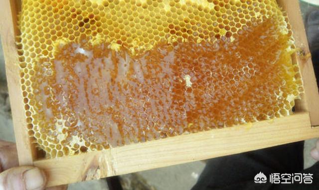 椴树蜜多少钱一斤，正宗土蜂蜜68元一斤贵吗