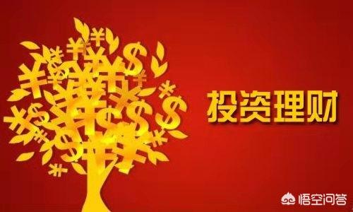 逆毛绒豚多少钱一只:每月收租10万，投资什么好？