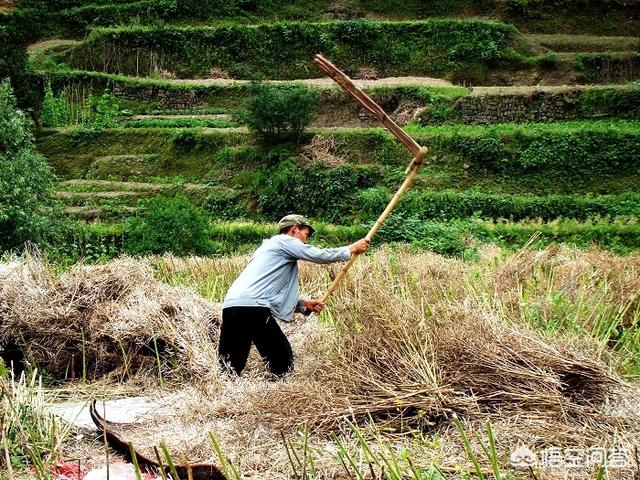 女娲和伏羲:伏羲和女娲手中为什么各拿着曲尺和圆规，其中有什么特别的寓意吗