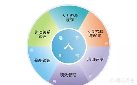 宠物店管理系统需求分析报告:HR的管理系统应该具备哪些功能？