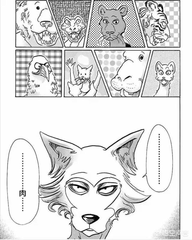 羊驼是谁:《BEASTARS》中谁吃了羊驼提姆？为什么？
