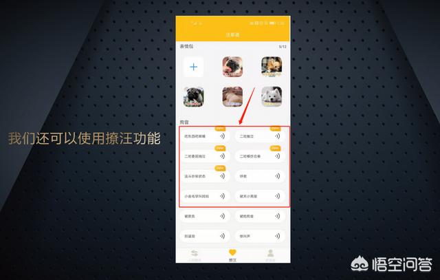 狗语翻译器有用么:有人知道狗狗的语音翻译器这么用吗？