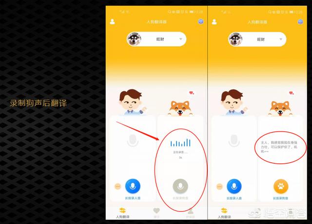 狗狗语言翻译机是:有没有什么翻译器能够知道狗狗在说什么？ 狗狗翻译机真能翻译吗