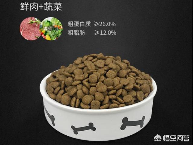 蝴蝶犬会看家吗:为什么说养狗不养蝴蝶犬？
