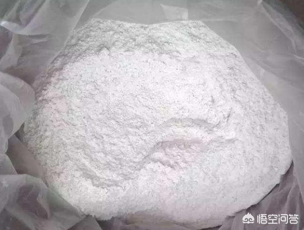 蓝尾金蜥做药材:古代时丹药是怎么制作出来的？