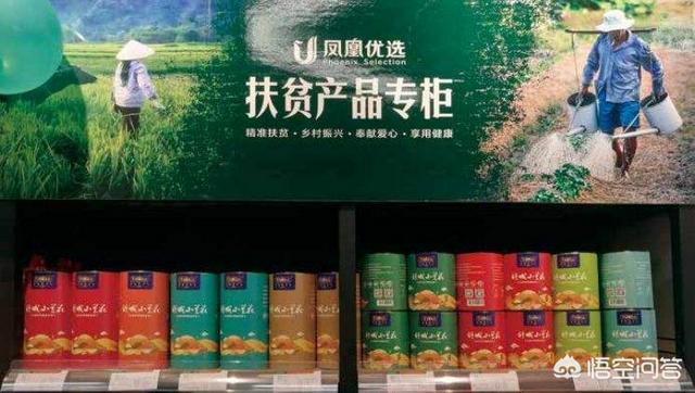 百色助学:广东和广西的亲缘关系比其他省份更亲近吗？