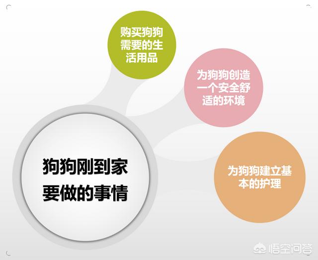 爵世的狗狗用品怎么样:狗狗刚来家里要准备什么？