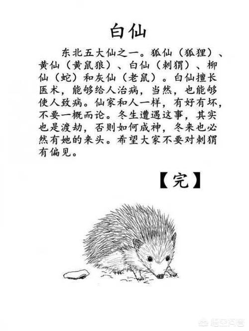 宠物刺猬是保护动物吗:野生刺猬是保护动物吗 刺猬是国家保护动物吗？遇到了如何处理呢？