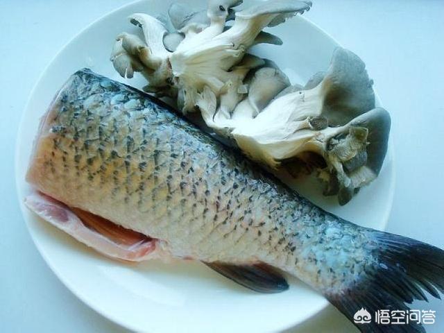 四川的清蒸鱼用什么鱼好:做水煮鱼用草鱼好，还是花鲢更好呢？