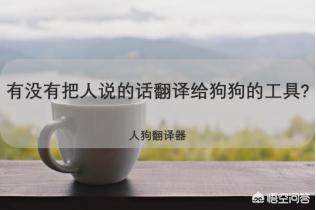 狗狗语言翻译机app:有没有什么软件可以翻译狗声？
