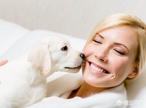狗狗爱:狗狗为什么爱抱人的大腿？