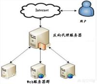 代理IP为何备受部分互联网从业者青睐？