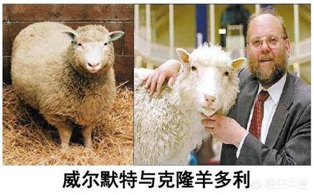 科莫多巨蜥的口水:在你的童年里有哪些坑钱的动漫玩具？