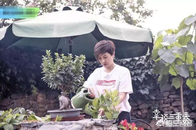 张国立婚姻:邓婕等了30年的婚礼，张国立终于补上了，但另一遗憾能补上吗？