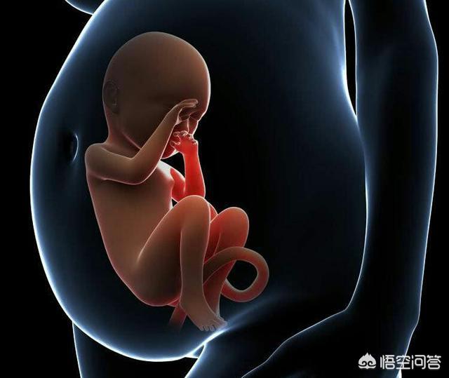 怀孕6个月，孕妇肚子突然一半硬一半软，是胎儿缺氧了吗？该怎么办？插图25