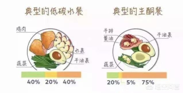 两周内快速减脂 选择生酮饮食还是低碳饮食好 头条问答