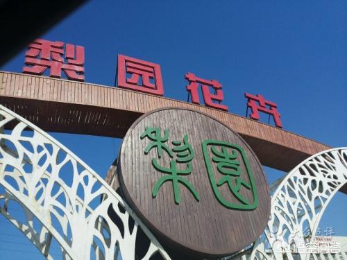 天津宠物市场在哪里:天津哪个花鸟鱼虫市场最大？在哪里？