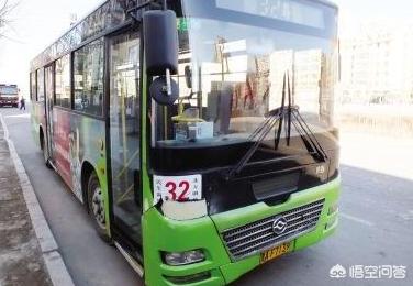 狗狗独自坐公交下车:为什么不能带狗狗坐公交车？