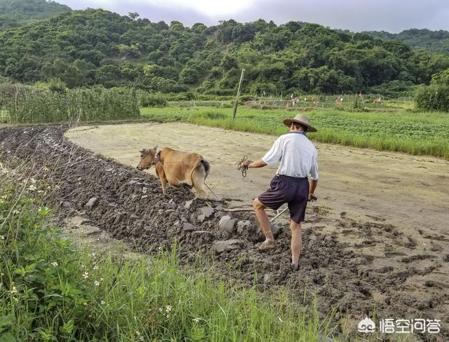 苏紫紫艺术照:“摄影实拍客”都会拍摄哪些日常？
