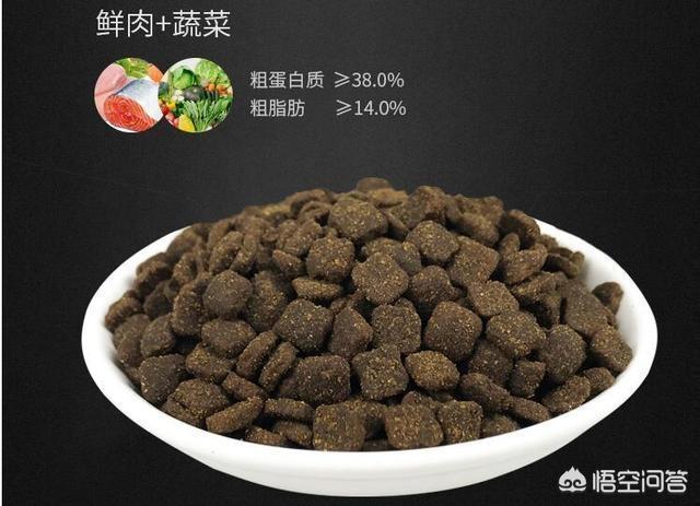 玛氏宠物食品的研发:哪些食物，可以帮助狗狗美毛？