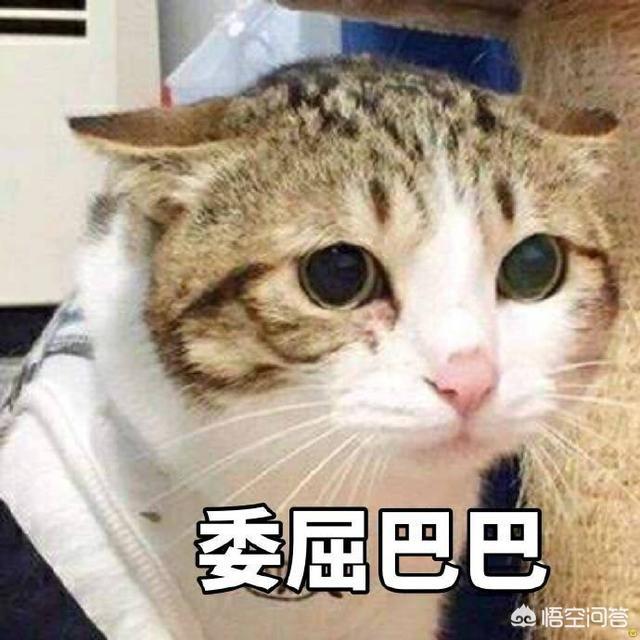 鬼混降:三国中吕蒙真的是因为关羽死后的鬼魂来索命而致死的吗