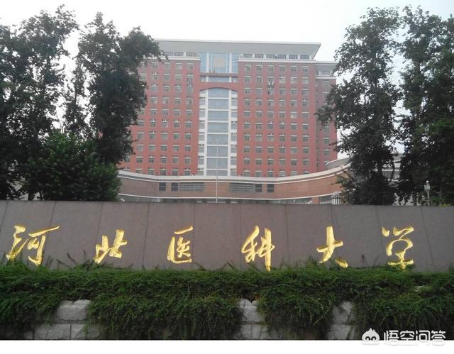 头条问答 河北医科大学临床医学5 3毕业生就业前景怎么样 32个回答
