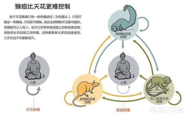 角百灵:百灵鸟唱得越卖力，听众却越来越少的原因是什么？