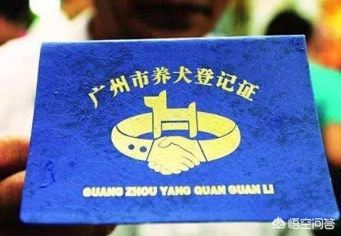 广州养狗要登记吗:广州养狗要狗证吗 为什么那么多养狗的人不愿意办狗证？
