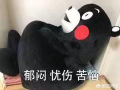 go猫粮的猫不吃:猫不愿意吃好的猫粮怎么办？