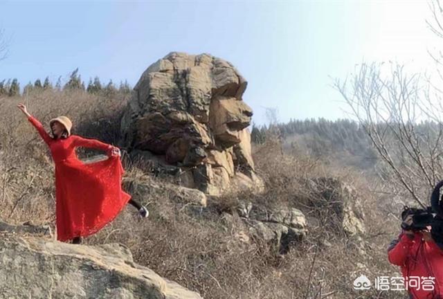 济南宠物网红:如何看待济南现共享宠物狗，一天收费30元并且随时可以退？