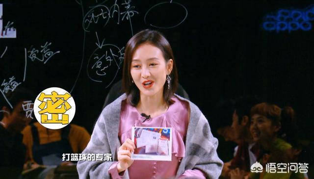 撒贝宁狐狸狗催眠:说到综艺节目，你第一个会想到哪个？