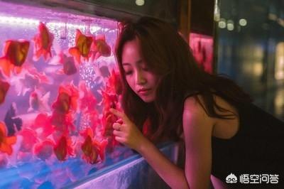 水族疾病唑替尼:鱼缸里放拜特虫清可以吗？