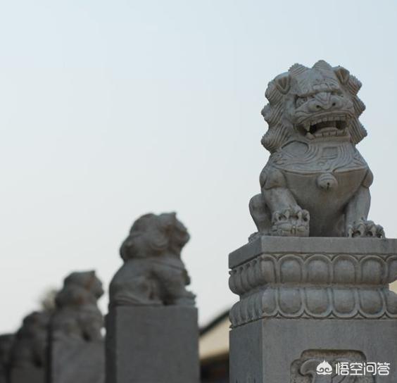 民间舞狮:舞狮是我国优秀的民间艺术，有什么历史渊源