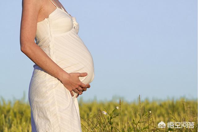 怀孕几个月肚子才会显怀，怀孕五个月小腹不显怀正常吗