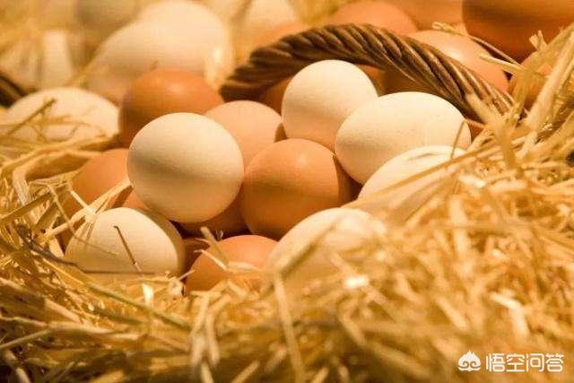 红白皮鸡蛋哪个营养更高，鸡蛋究竟是红皮好还是白皮好