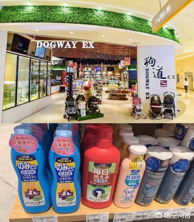 优爵宠物食品如何加盟:开一家宠物连锁店怎么样？