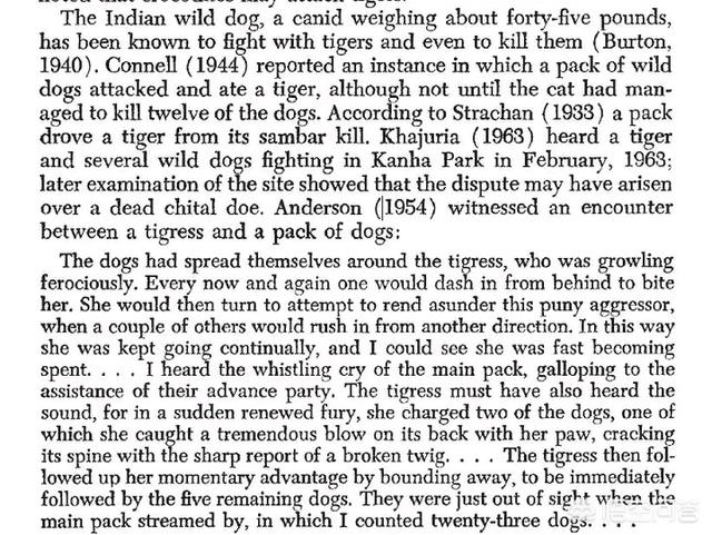 豺究竟有多猛独挑虎与狼，豺真的杀死过孟加拉虎吗具体情况如何